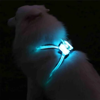 Led Šuo Įkrovimas USB Apykaklės Šunų Antkaklis Asmeninį Nailono šunelis Žymeklį Apykaklės Užsakymą Šuniukas Katės Lentele ID Apykaklės Reguliuojamas 4
