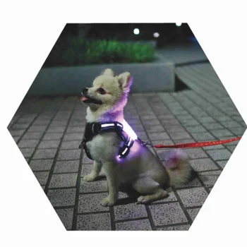 Led Šuo Įkrovimas USB Apykaklės Šunų Antkaklis Asmeninį Nailono šunelis Žymeklį Apykaklės Užsakymą Šuniukas Katės Lentele ID Apykaklės Reguliuojamas 5